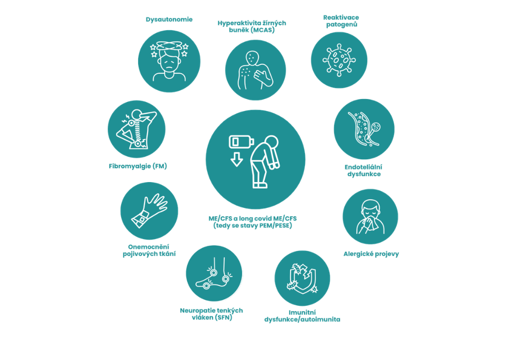 Komorbidity long covidu: ME/CFS, PEM, POTS a MCAS